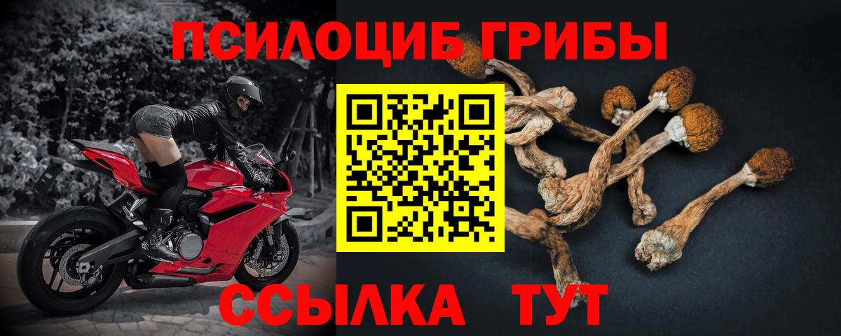 Галлюциногенные грибы прущие грибы Сорочинск